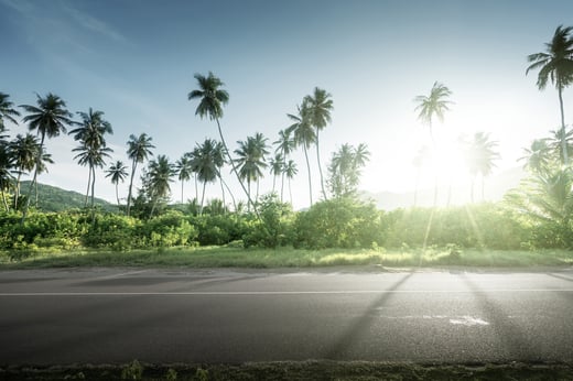 empty road in jungle of Seychelles islands