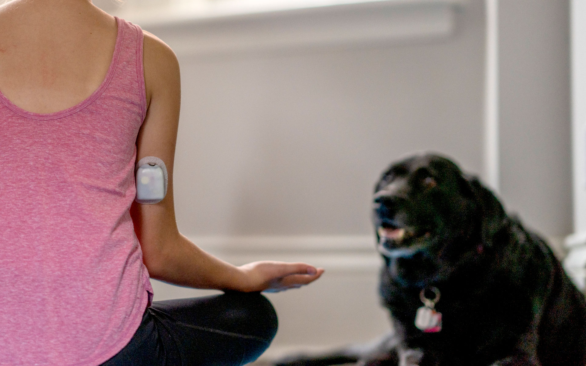 Reducing Requirements for Insulin Pump Referral Improves Pump Initiation for Publicly Insured Children and Youth With Type 1 Diabetes